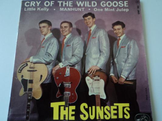 Cry Of The Wild Goose