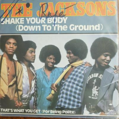 Shake Your Body
