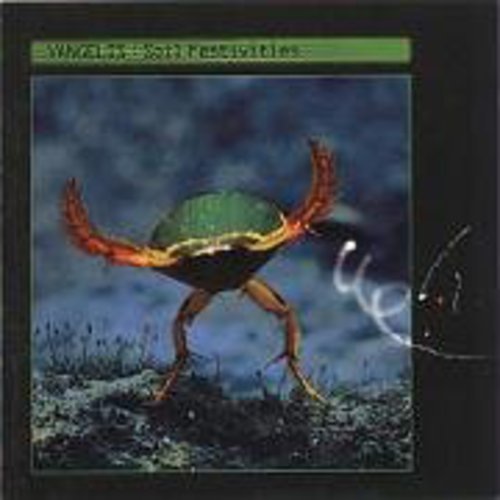Soil Festivities By Vangelis