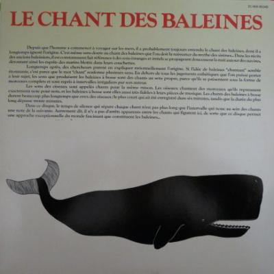 Le Chant Des Baleines