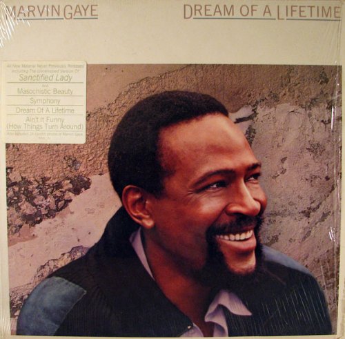Marvin Gaye - Dream Of A Lifetime -