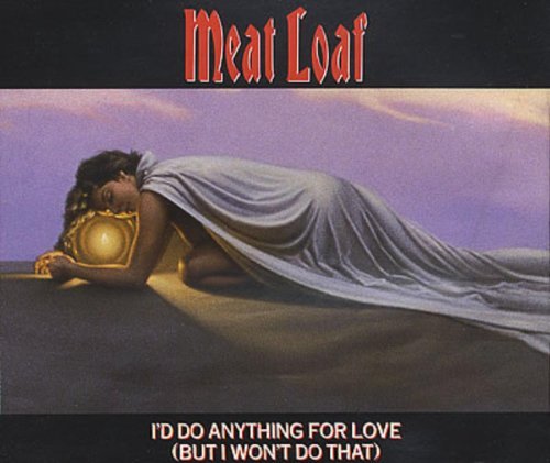 I'd Do Anything For Love (but I Won't Do That)