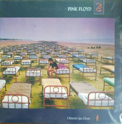 A Momentary Lapse Of Reason - ***
