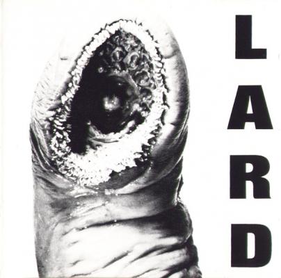 The Power Of Lard