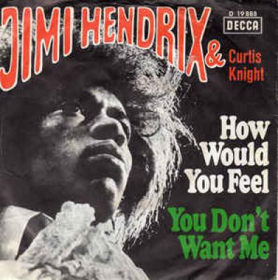 How Woukd You Feel / You Don't Want Me