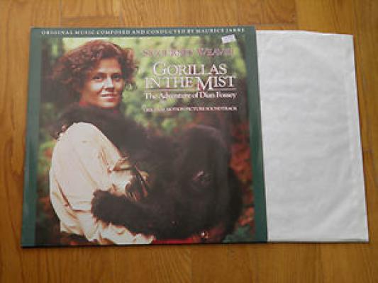 Gorillas In The Mist