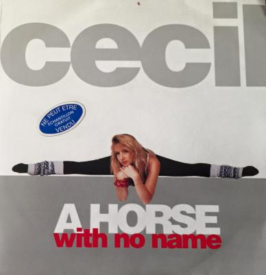 A Horse With No Name