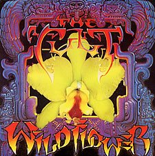 Wildflower
