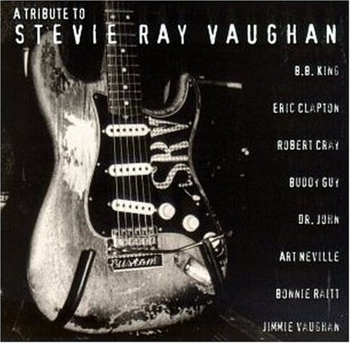 Tribute To Stevie Ray Vaughan