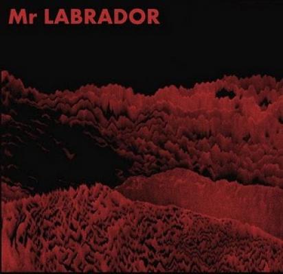 Mr Labrador