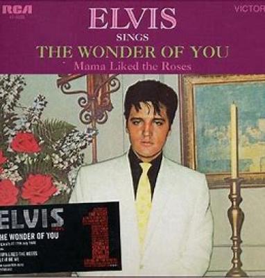 The Wonder Of You