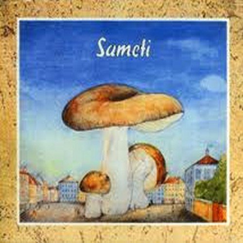 Sameti