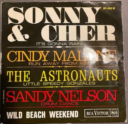 Wild Beach Weekend