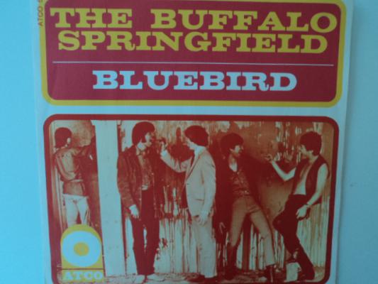 Bluebird