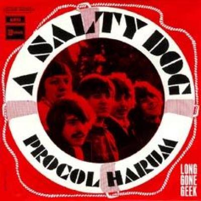 A Salty Dog