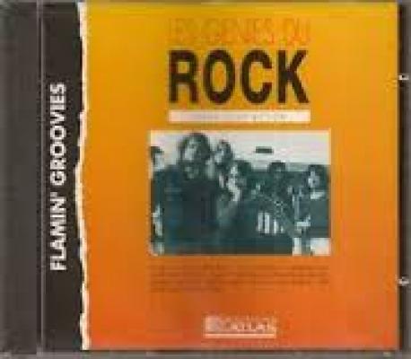 Flamin' Groovies : Shake Some Action