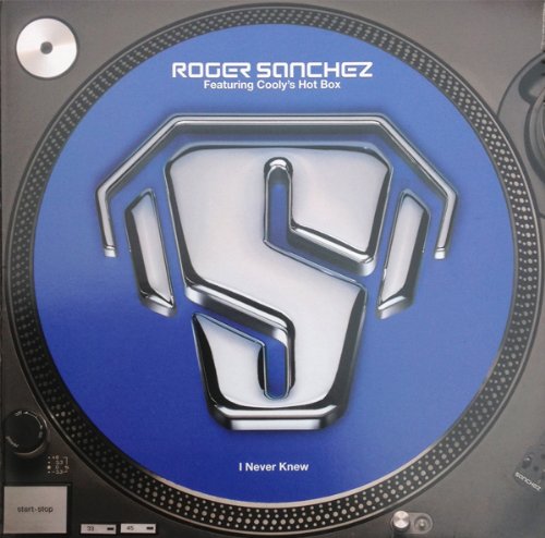 I Never Knew - Roger Sanchez 12