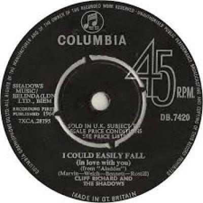 I Could Easily Fall
