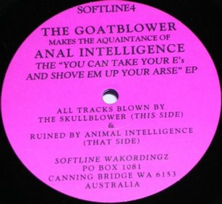 The You Can Take Your E's And Shove Em Up Your Arse E.p.