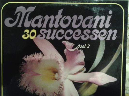 30 Successen Deel 2