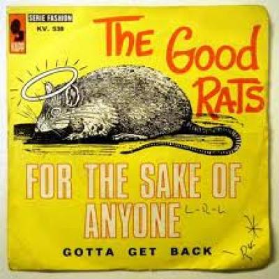 For The Sake Of Anyone