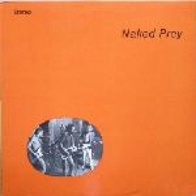 Naked Pray