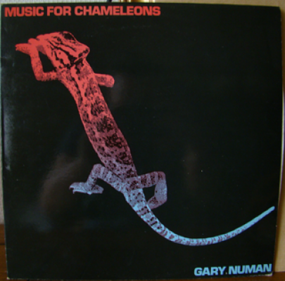 Music For Cameleons