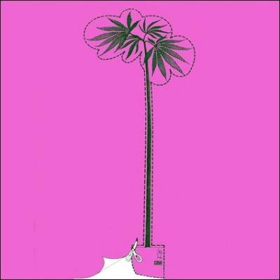 The Palms