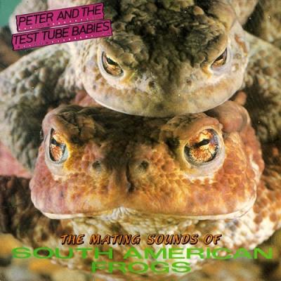 The Making Sounds Of South American Frogs