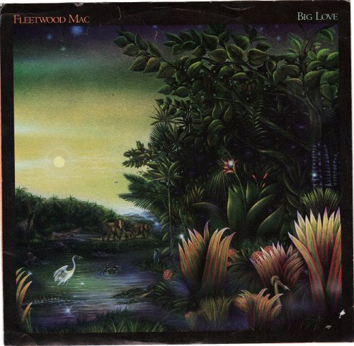 Fleetwood Mac/big Love/45rpm Picture Sleeve Only