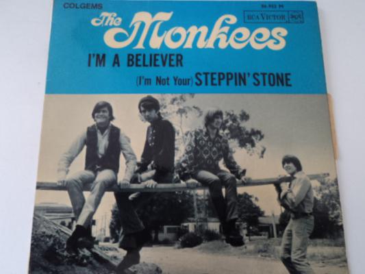 (i'm Not Your) Steppin' Stone