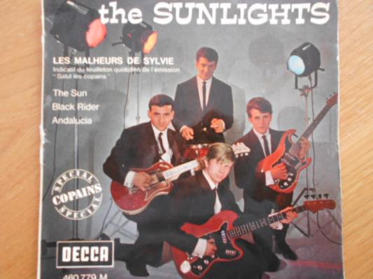 Les Malheurs De Sylvie