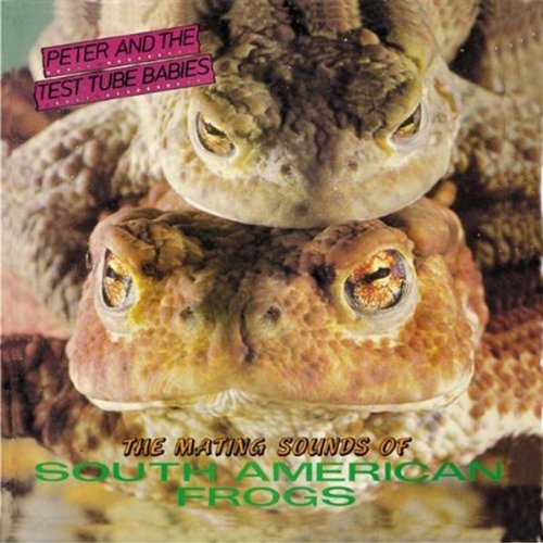Mating Sounds Of South American Frogs