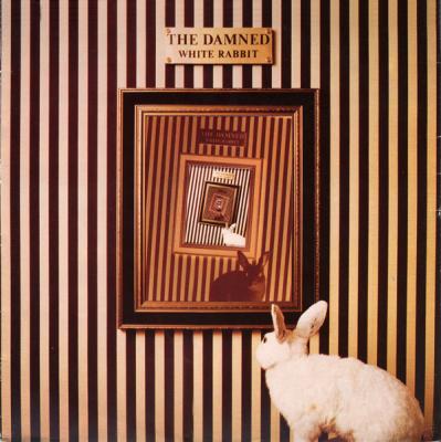 White Rabbit