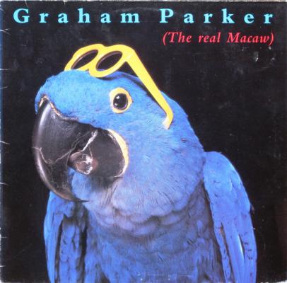 The Real Macaw