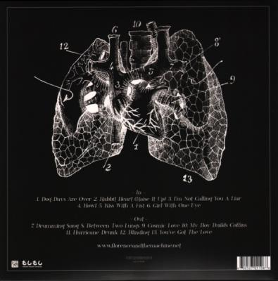 Lungs