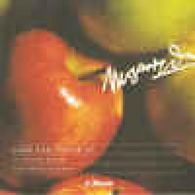 Mozart: La Petite Bande, Sigiswald Kuijken