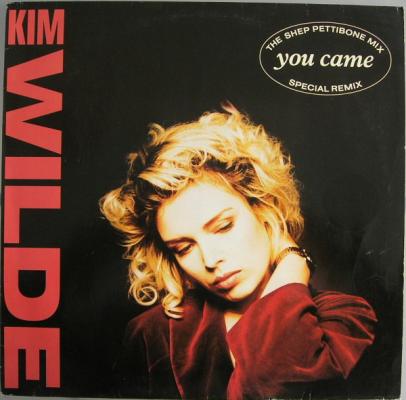You Came (the Shep Pettibone Mix)