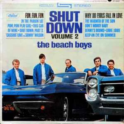 Shut Down Volume 2