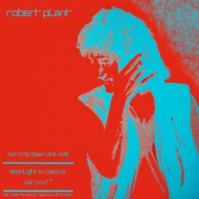Robert Plant