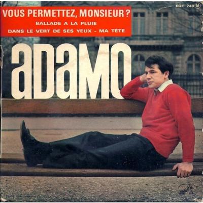 Vous Permettez, Monsieur ?
