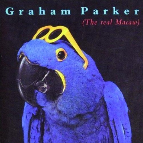 ( The Real Macaw)