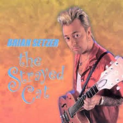 The Strayed Cats