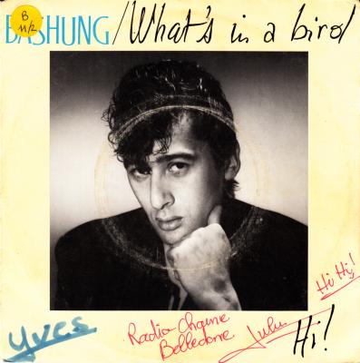 What's In A Bird
