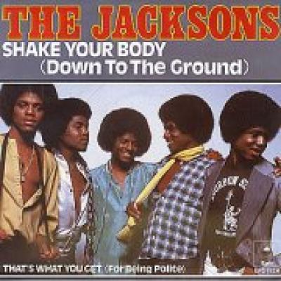 Shake Your Body (down To The Ground)