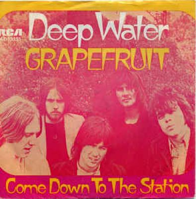 Grapefruit Deep Water 7 Vinyl