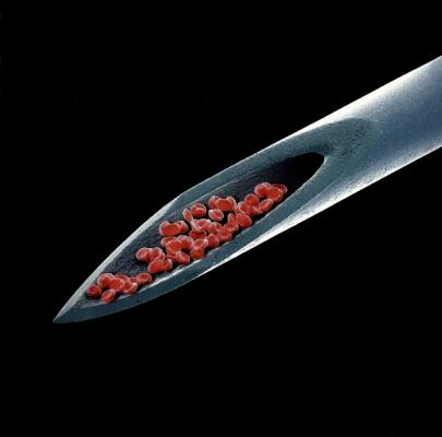 Live Blood
