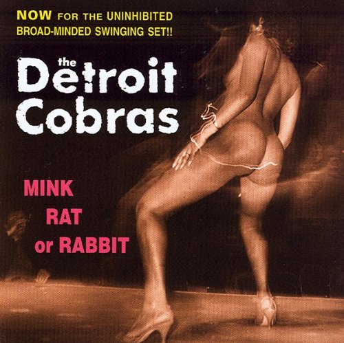 Mink Rat Or Rabbit