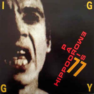 Hippodrome Paris 77