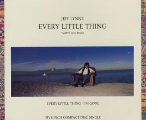 Every Little Thing
